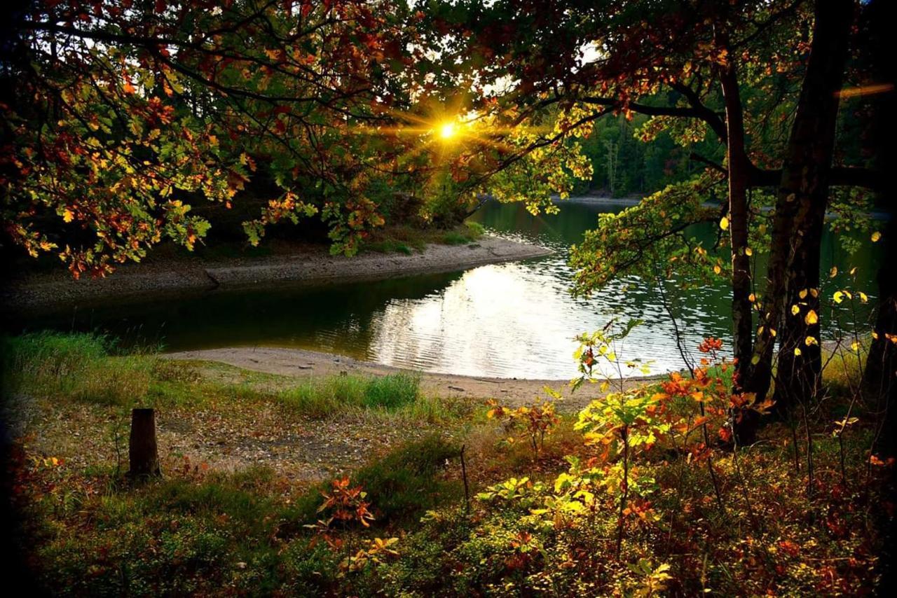 Agroturystyka U Kozdryka Lesna Exterior photo