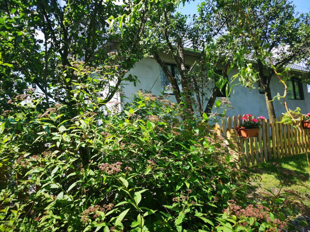 Agroturystyka U Kozdryka Lesna Exterior photo