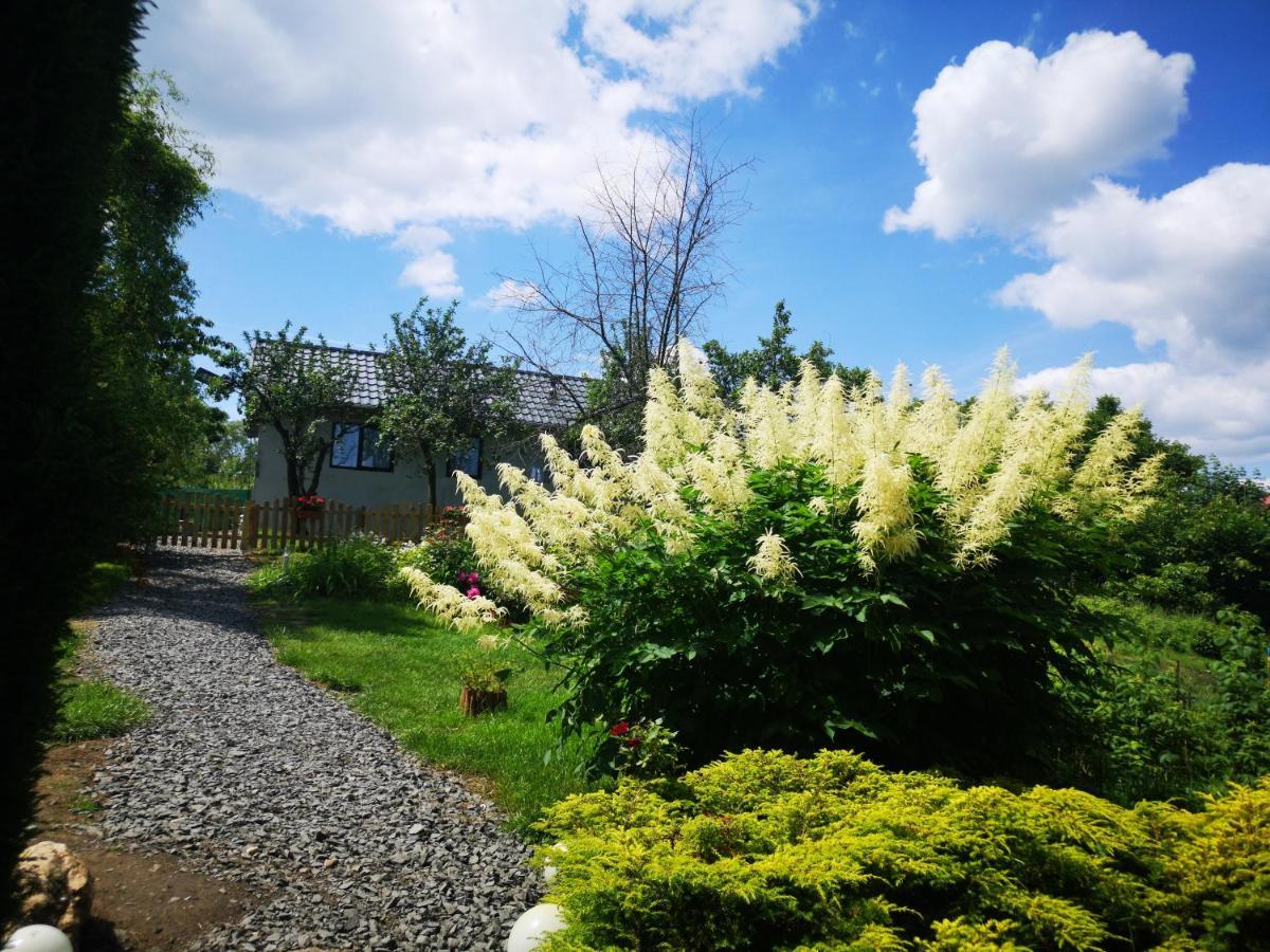 Agroturystyka U Kozdryka Lesna Exterior photo