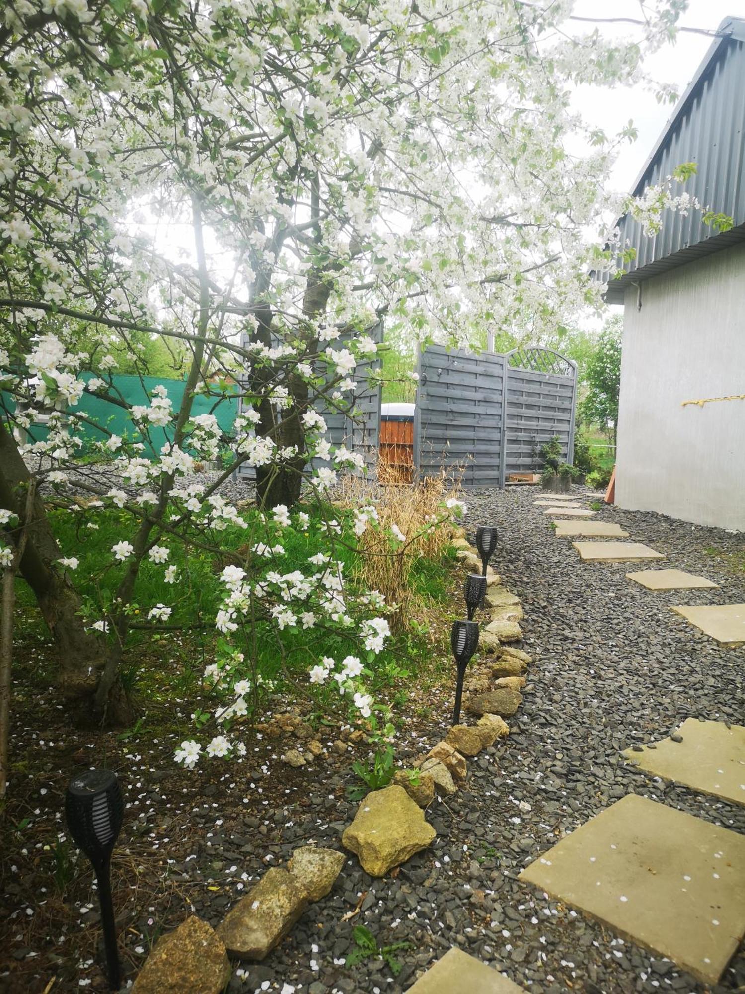 Agroturystyka U Kozdryka Lesna Exterior photo