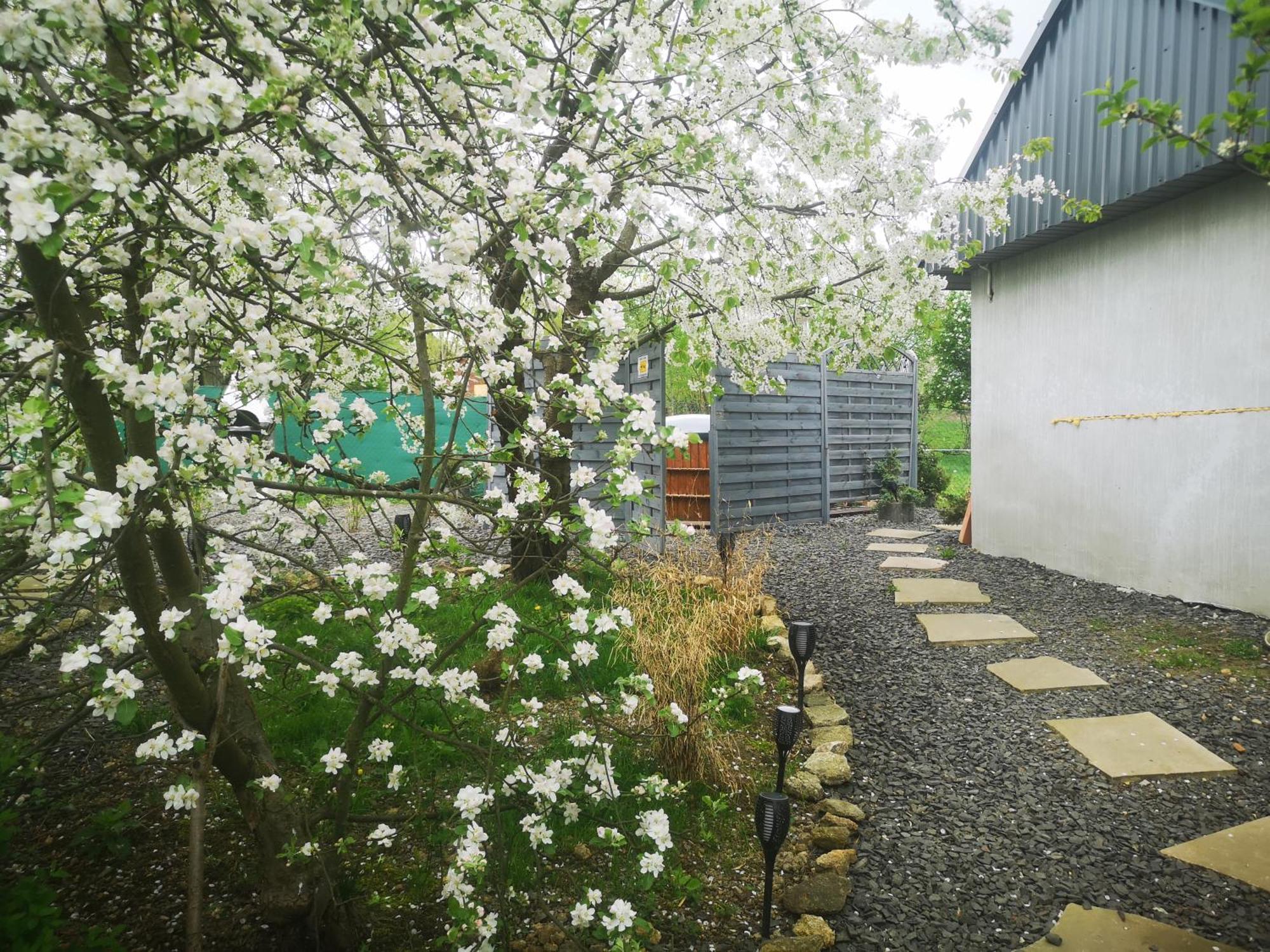 Agroturystyka U Kozdryka Lesna Exterior photo
